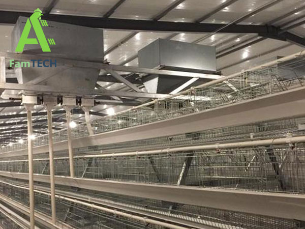 gantry-type feeding machine for layer poultry house