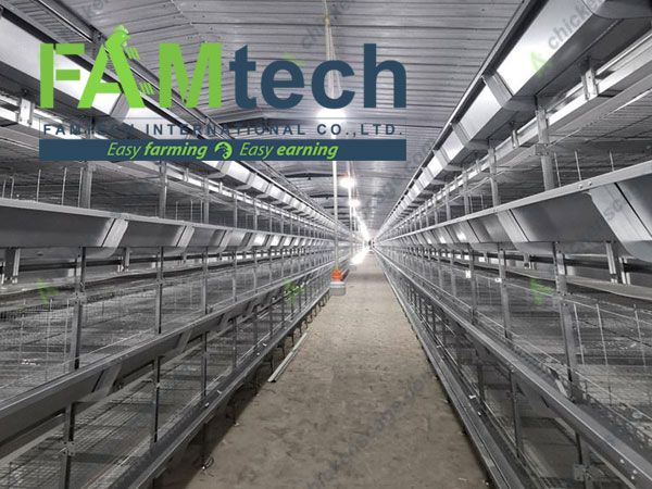 h type broiler cage project