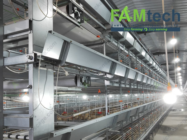 h type broiler cage system