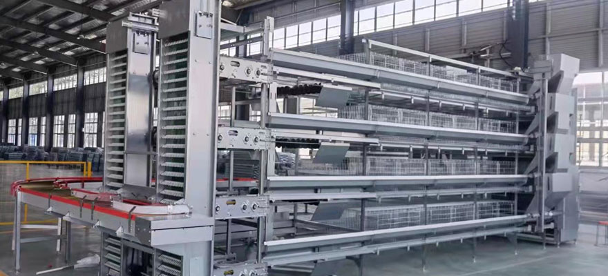 H type cage for laying chicken