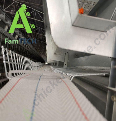 details of 50000 layer farm cage