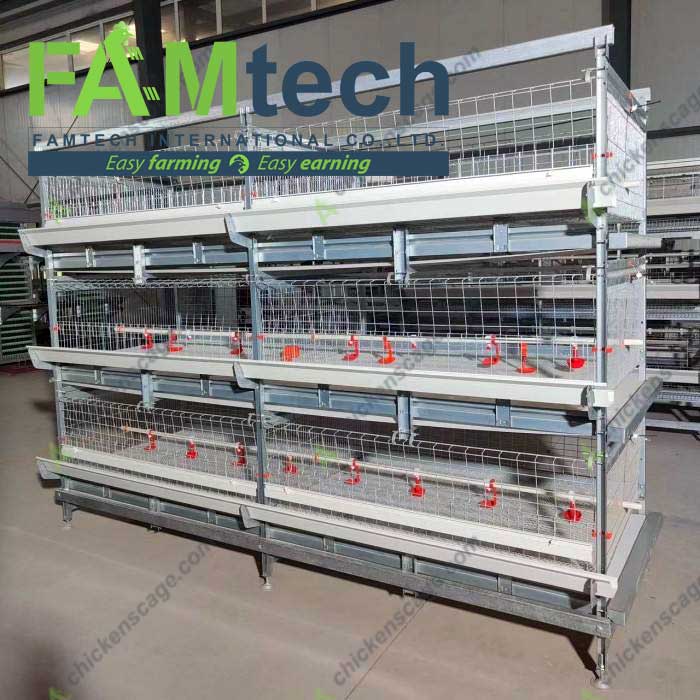 single side feeder broiler cage for 5000 birds plan