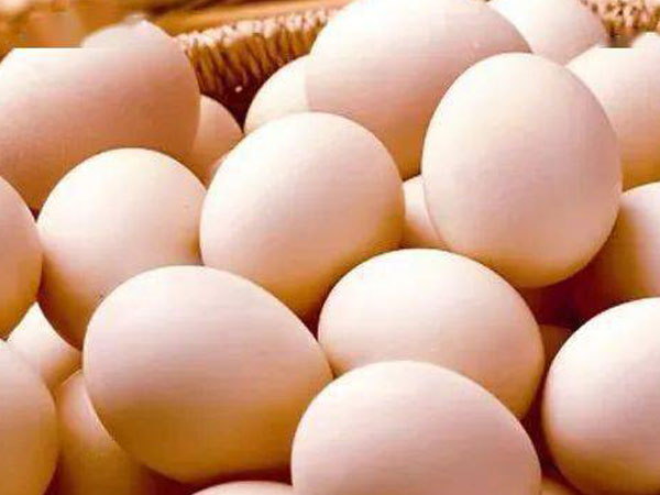 high productivity chicken eggs