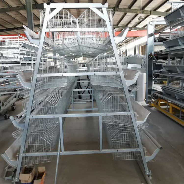 hi tech hen cage structure