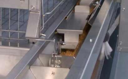 details of automatic feeding system for chicken