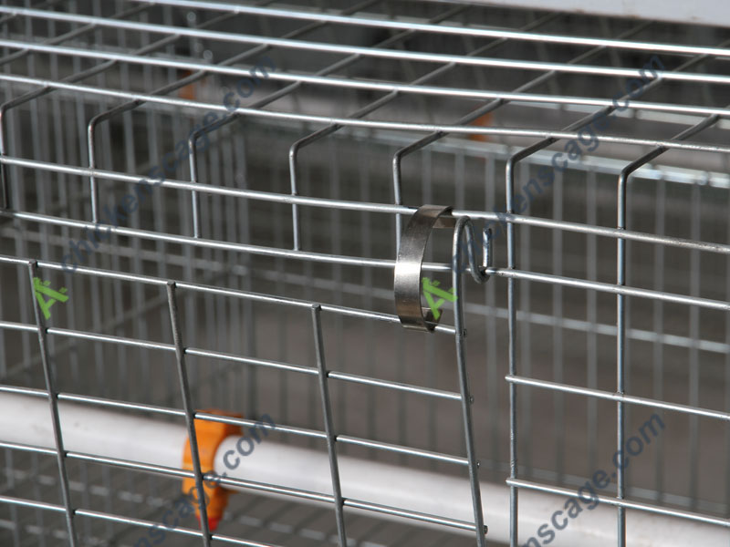 galvanized chicken cage detail