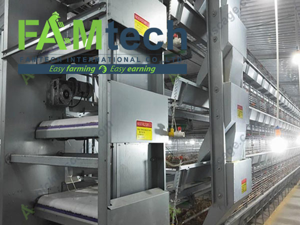 h type broiler cage system