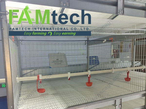 h type broiler cage single-sided feeding type 