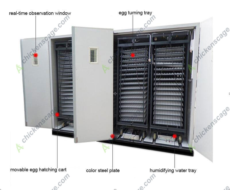 large industrial incubator hatcher