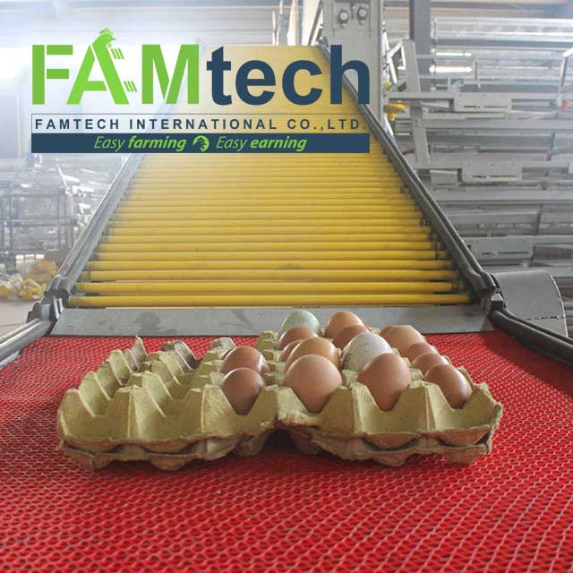 efficient layer farm design