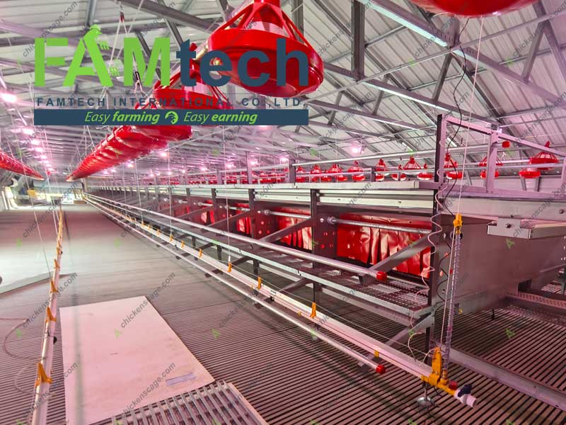 long last aviary system