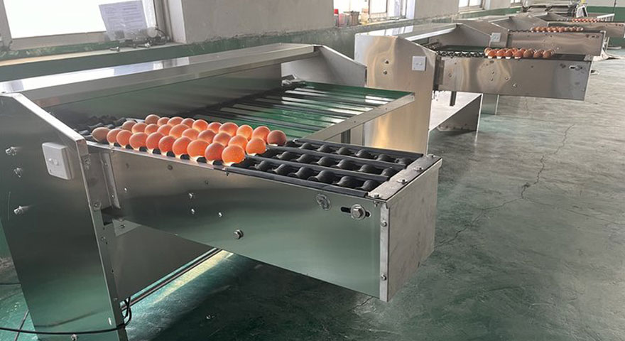 manual egg grader features