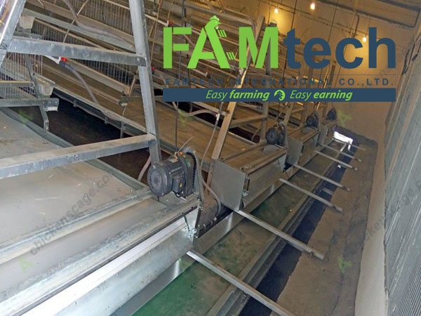 manure cleaning for 3 tier layer cage