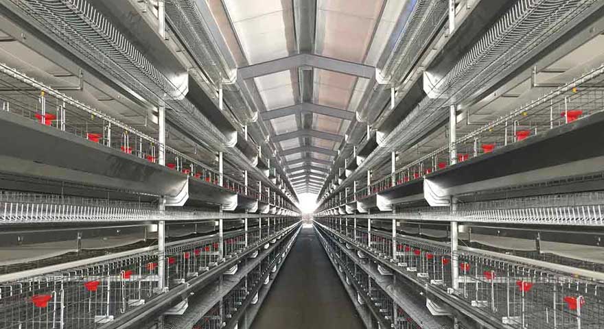 hi tech hen cage material