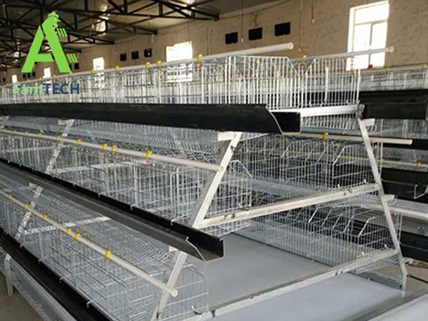 natural light and ventilation