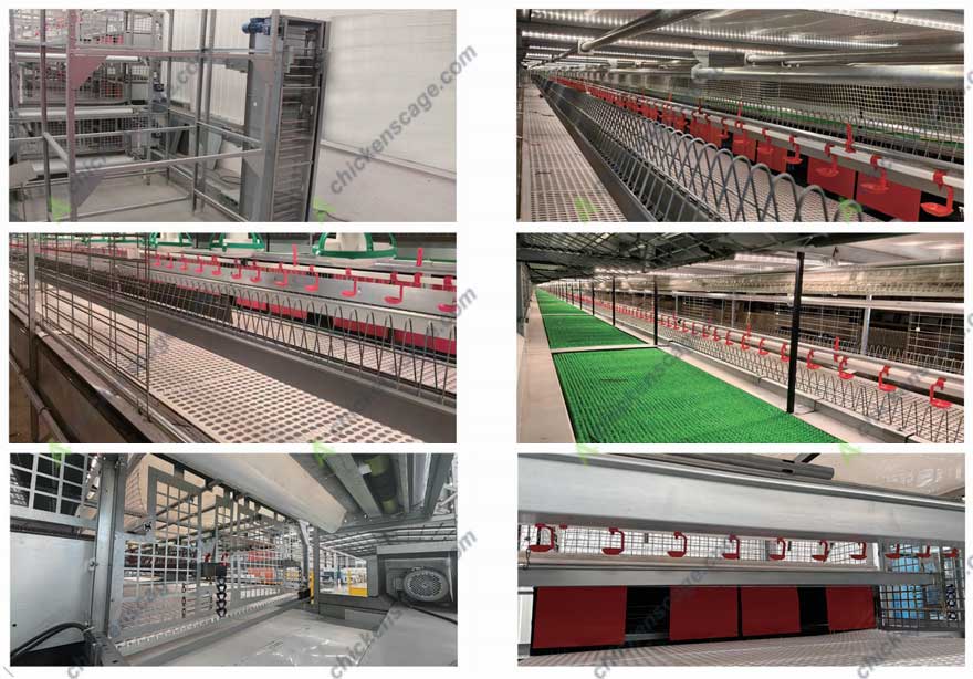 components for poultry breeding cage