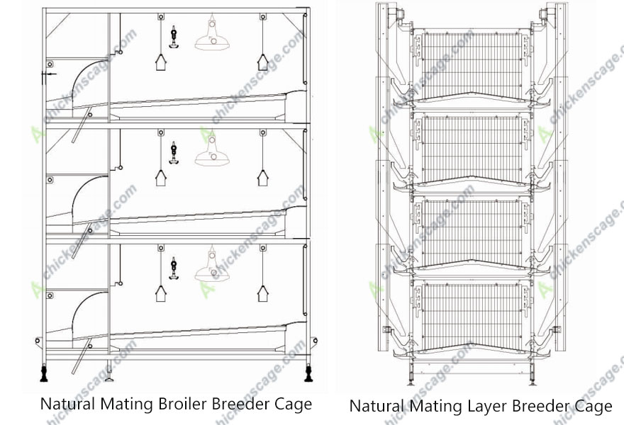 natural mating breeder cages