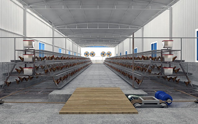 open chicken house design plan