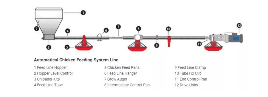 pan-feeding-system-pan-feeders-for-poultry-famtech