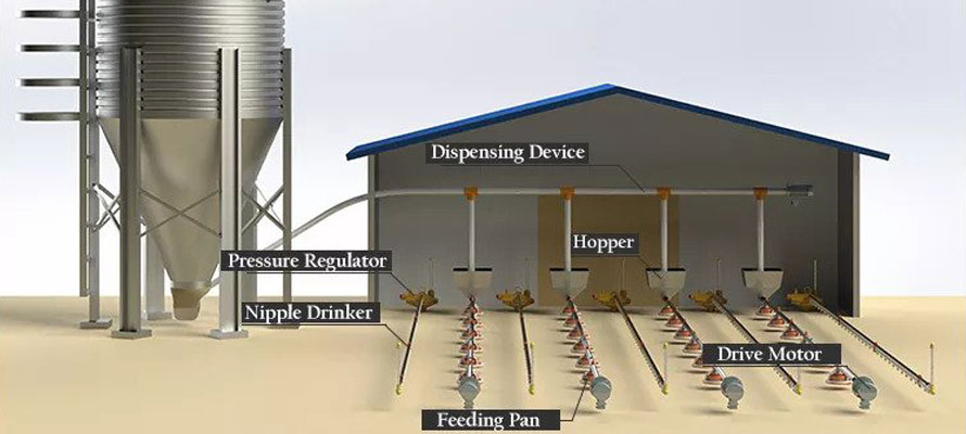 Pan Feeding System