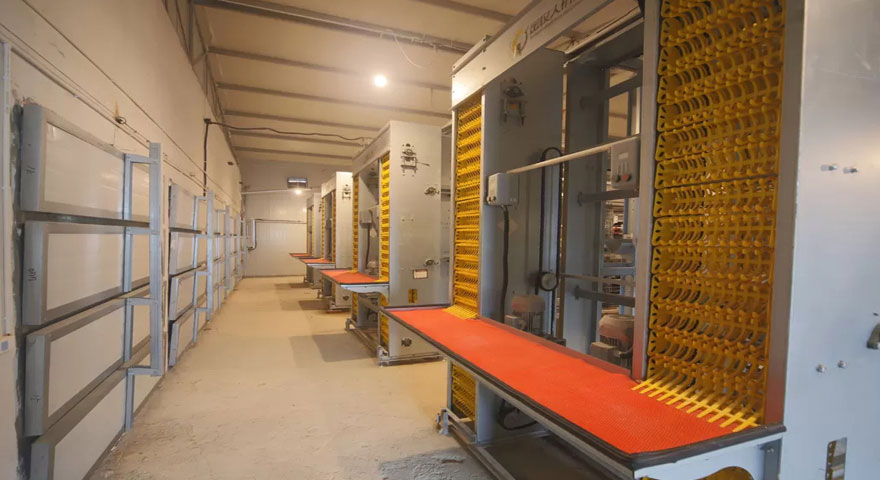 automatic chicken breeder cage system