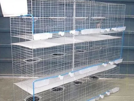 pigeon cages for sale