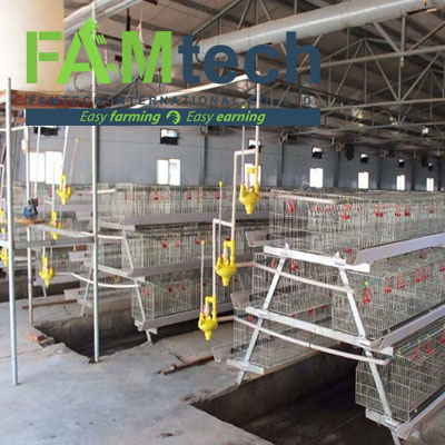 poultry farm design project