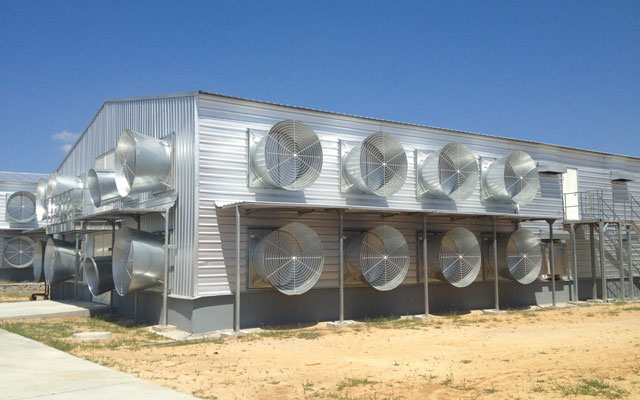 ventilation solutionas for chicken farm design