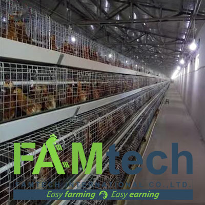 poultry house plans for new starters