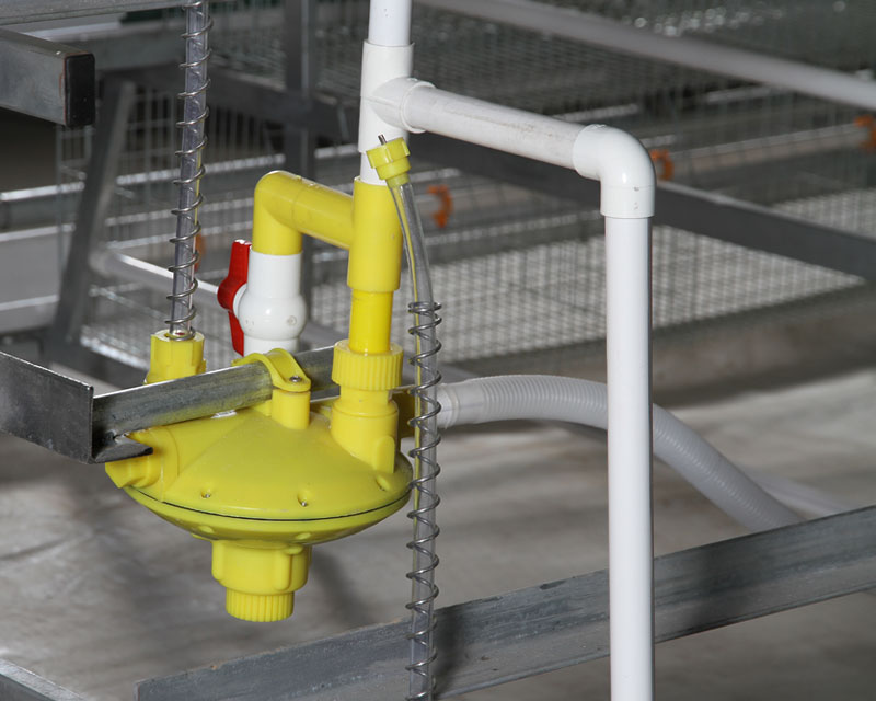 poultry drinking system-FAMtech