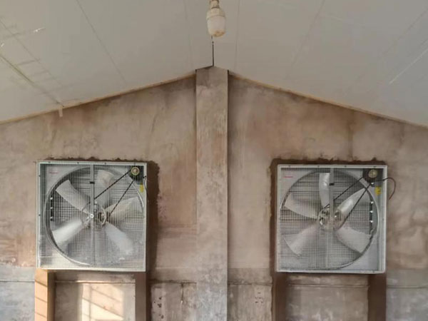 quail layer cage ventilation system