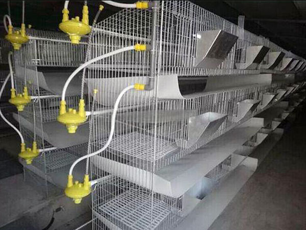 drawer board for collecting quail manure