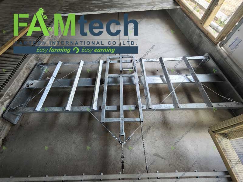 manure scraper on aviary farm