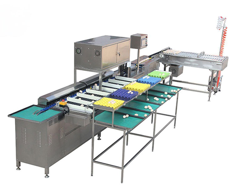 semi-automatic egg grader price