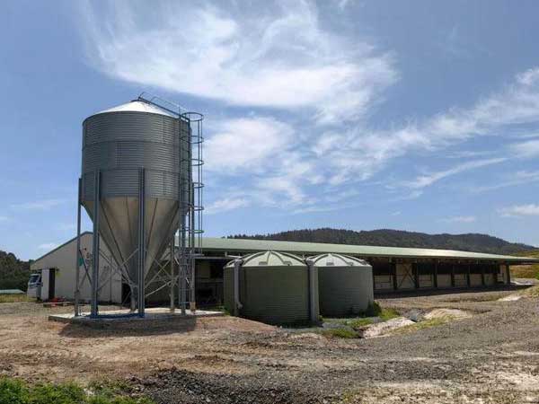 aviary system feed bins