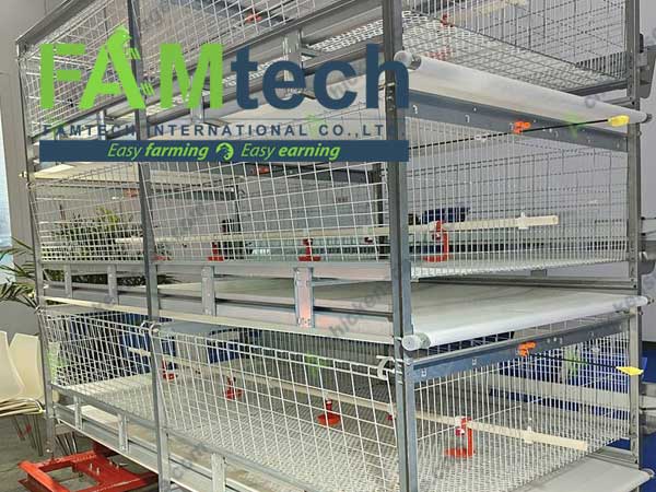 single-sided feeding H type broiler cage