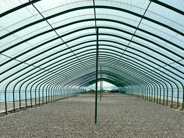 construction site of quail layer cage