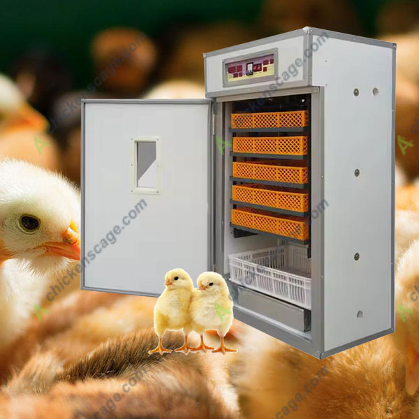 small cabinet incubator supplied