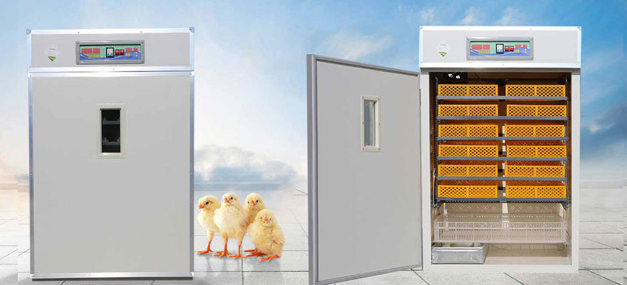 small cabinet incubators for various poultry