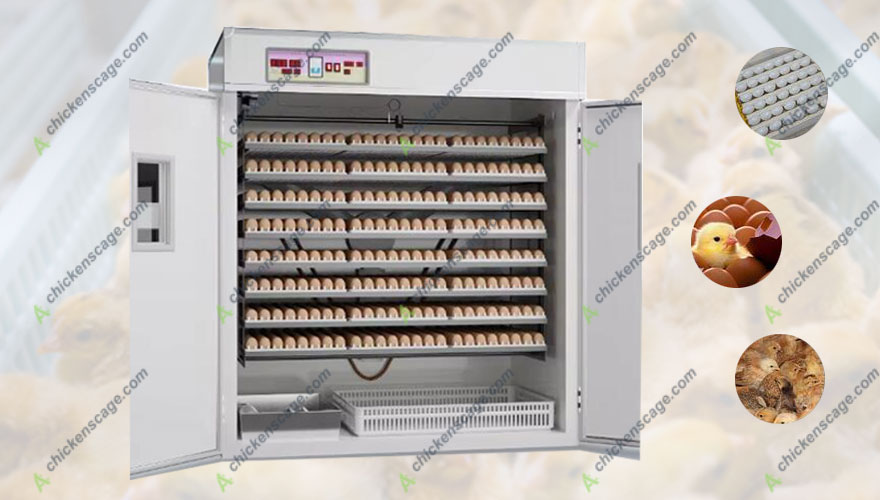 The Ultimate Guide For Selecting Cabinet Egg Incubator