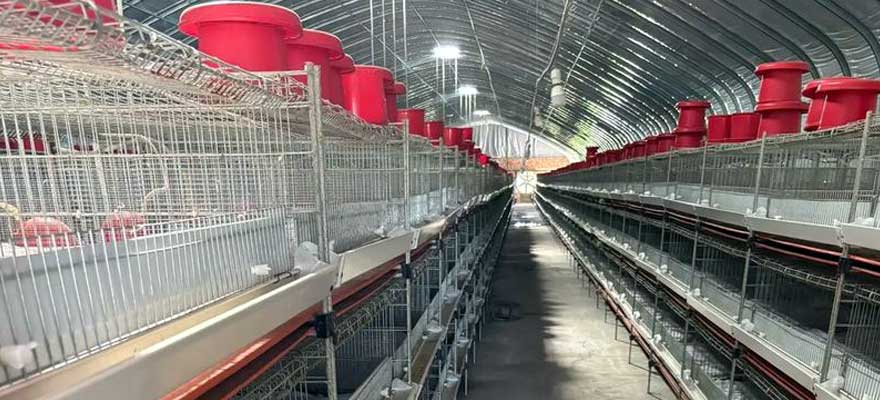 material and structure of stackable quail cages