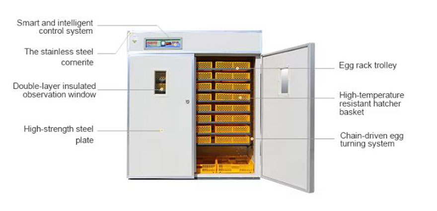 structure of commecial cabinet incubator