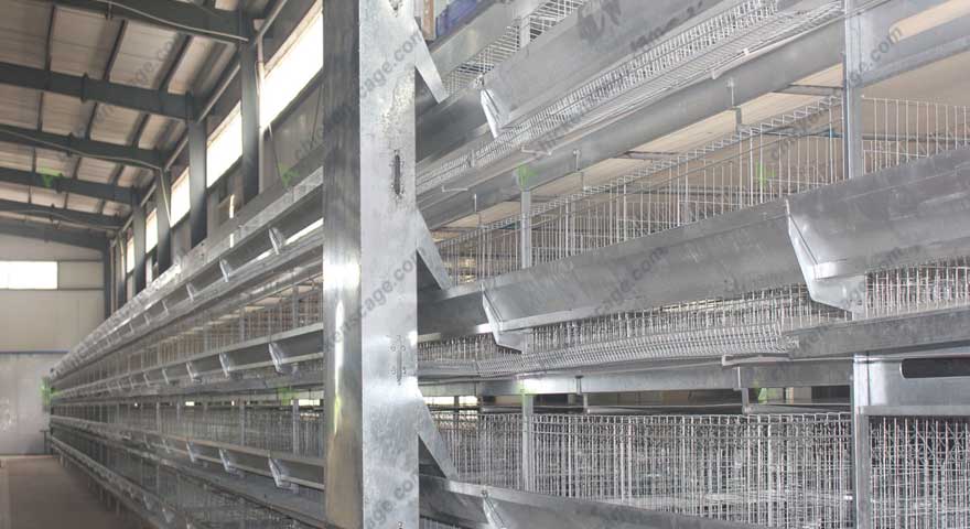 suitable galvanized chicken cage