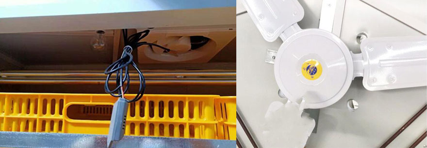 temperature and humidity control for 1000 egg incubator