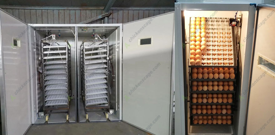 tips for selecting cabint incubator capacity