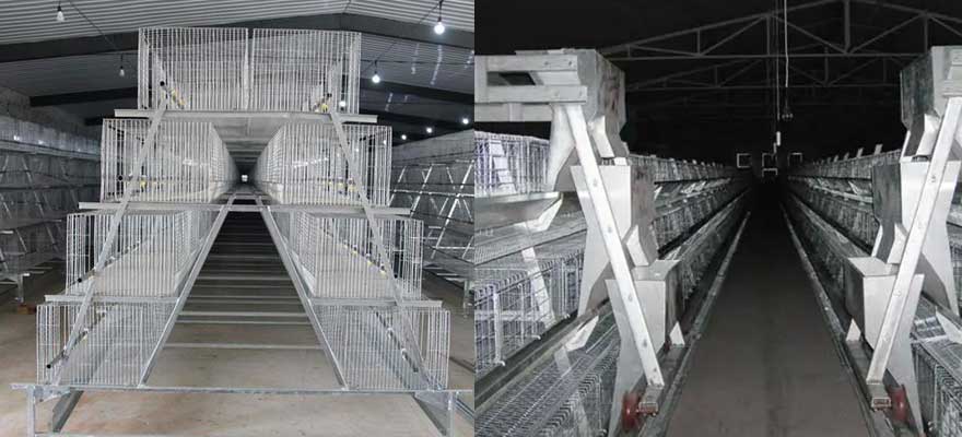 ventilation of 3-tier and 4-tier layer cage