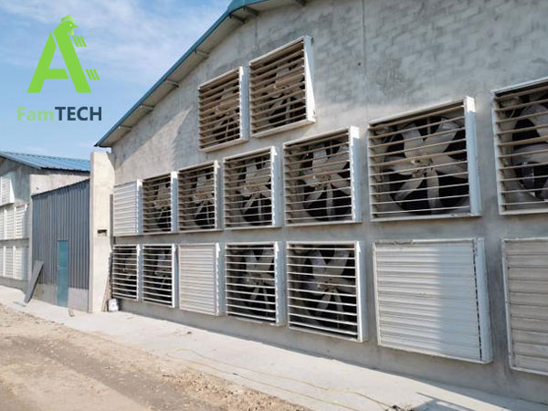 mechanical ventilation system for laying hens