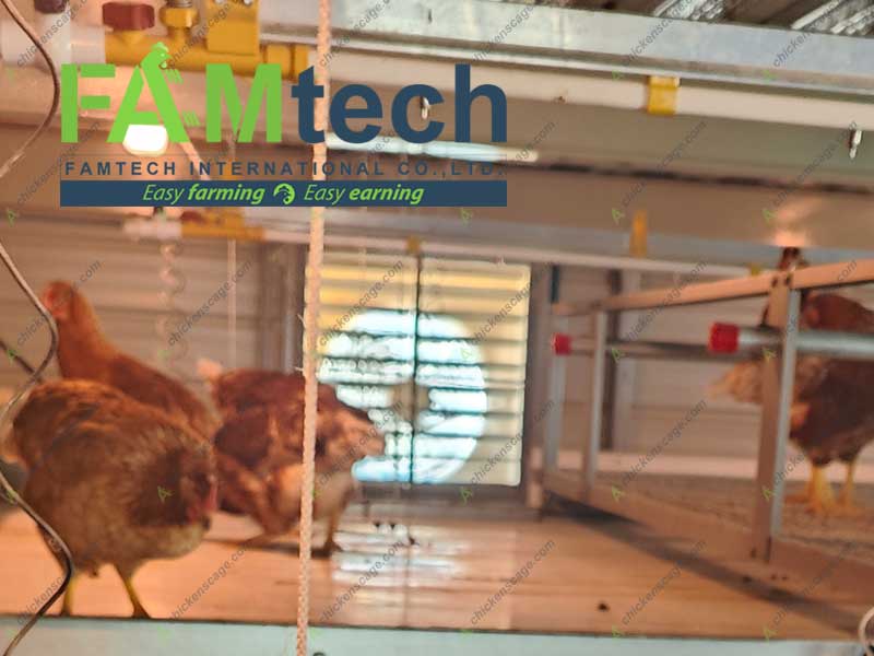 ventilation fans on aviary farm